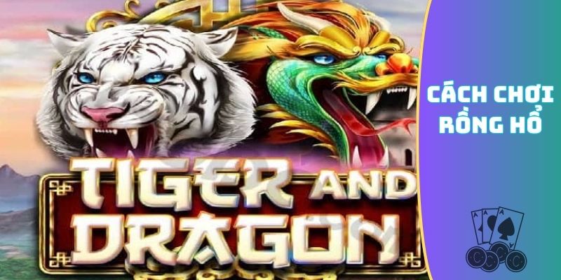 cách chơi Rồng Hổ